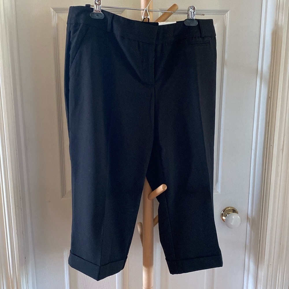 Dressy Capris